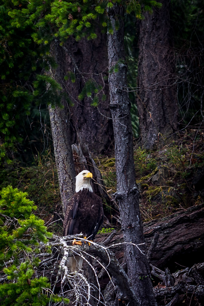 20170722-IMG_5368.jpg 20170722-IMG_5368.jpg