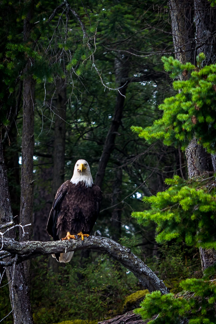 20170722-IMG_5382.jpg 20170722-IMG_5382.jpg