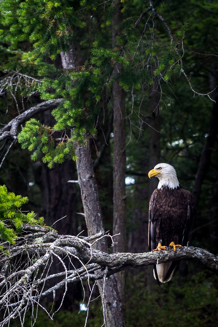 20170722-IMG_5385.jpg 20170722-IMG_5385.jpg