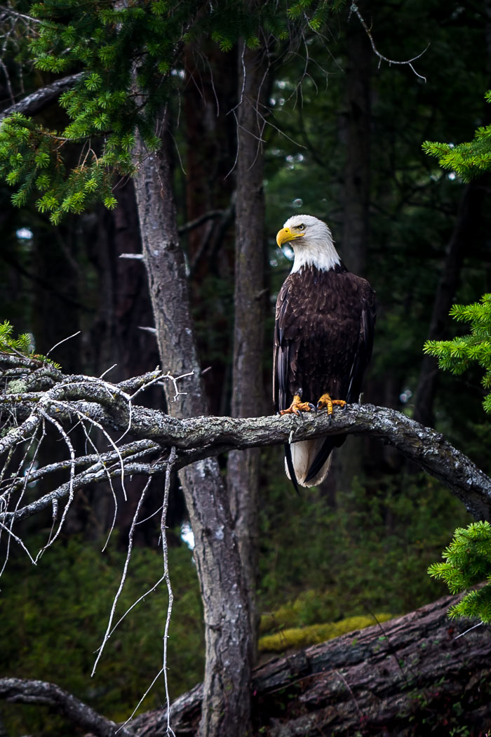 20170722-IMG_5386.jpg 20170722-IMG_5386.jpg