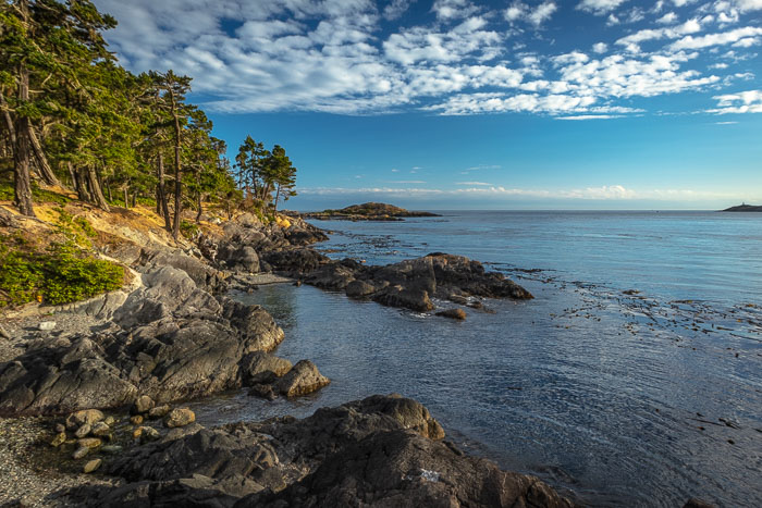 20180720-IMG_5676.jpg 20180720-IMG_5676.jpg