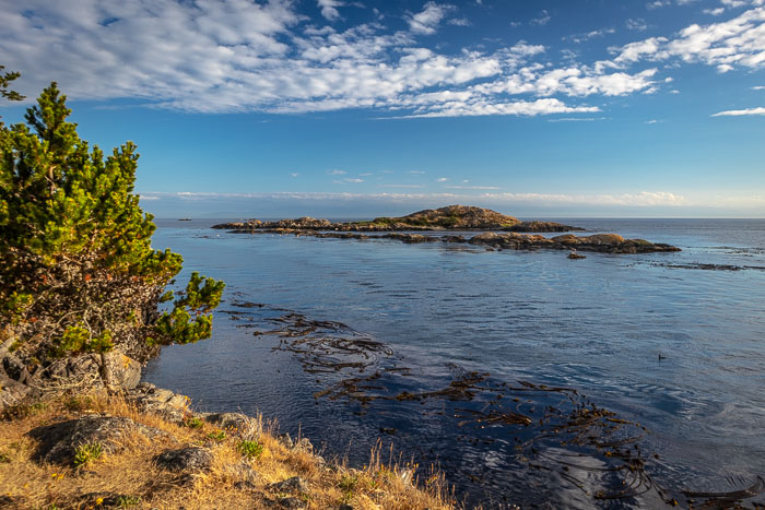 20180720-IMG_5678.jpg 20180720-IMG_5678.jpg