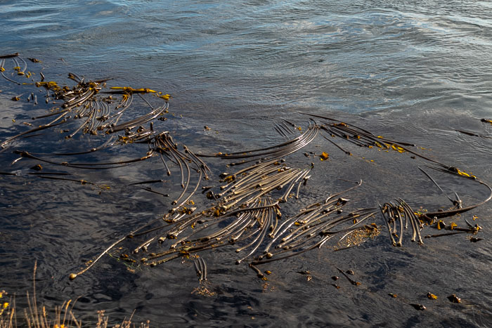 20180720-IMG_5693.jpg 20180720-IMG_5693.jpg