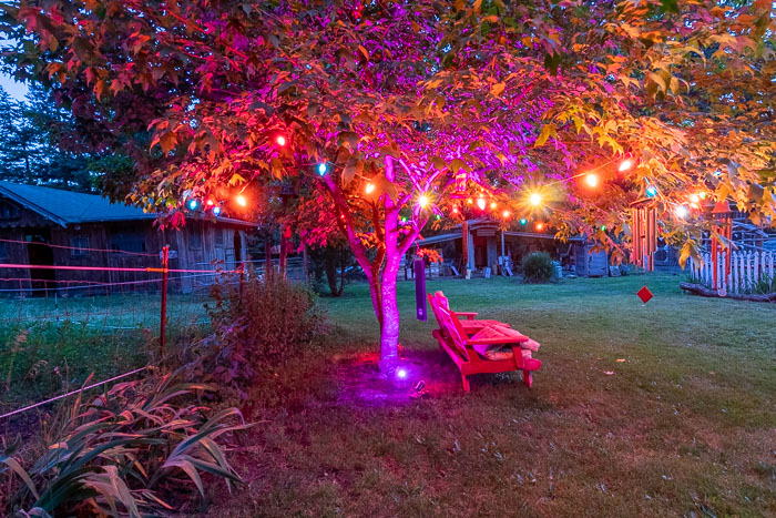 20190722-IMG_2416-HDR.jpg 20190722-IMG_2416-HDR.jpg