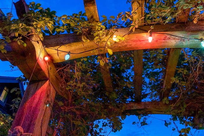 20190722-IMG_2422-HDR.jpg 20190722-IMG_2422-HDR.jpg