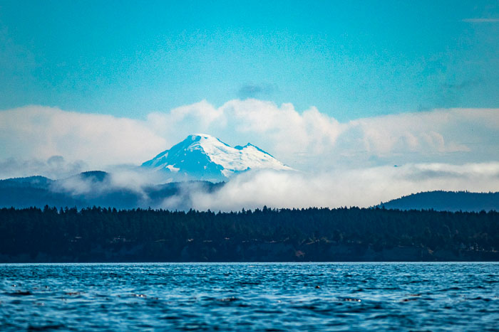 20190723-IMG_2443.jpg 20190723-IMG_2443.jpg