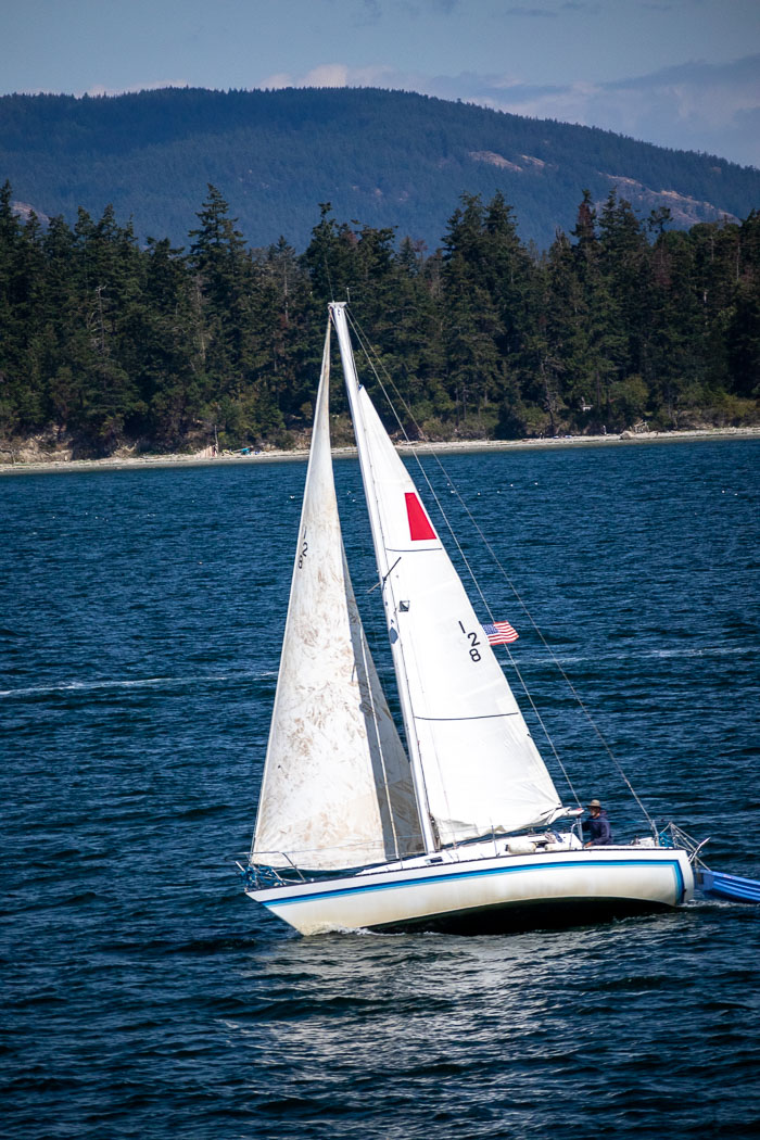 20190724-IMG_2479.jpg 20190724-IMG_2479.jpg