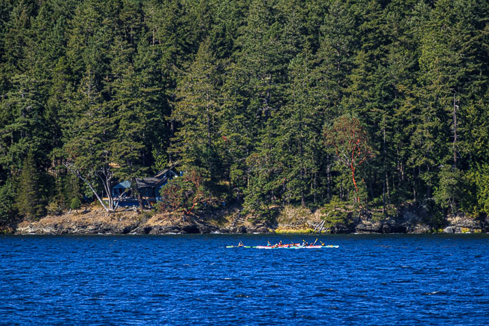 20210721-IMG_4975.jpg 20210721-IMG_4975.jpg