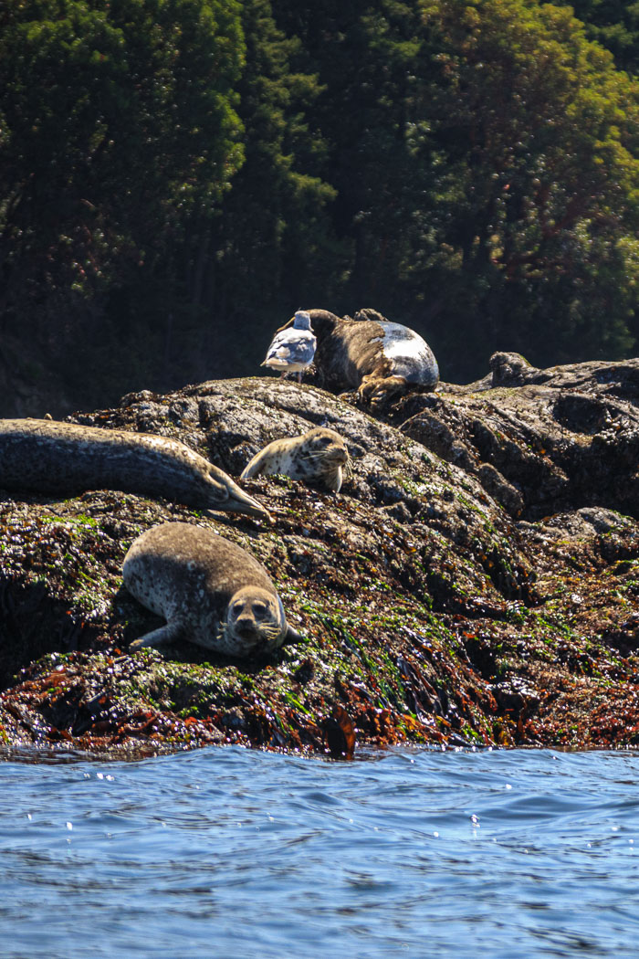 20210723-IMG_4984.jpg 20210723-IMG_4984.jpg