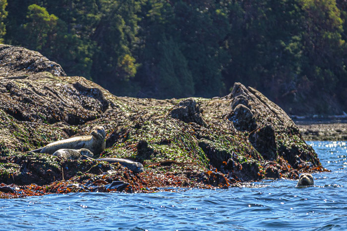 20210723-IMG_4989.jpg 20210723-IMG_4989.jpg