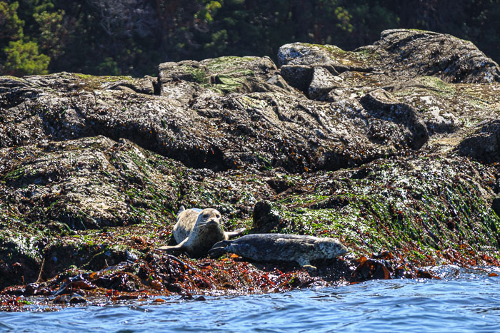 20210723-IMG_5000.jpg 20210723-IMG_5000.jpg