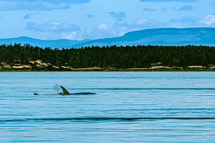 20210724-IMG_5380.jpg 20210724-IMG_5380.jpg