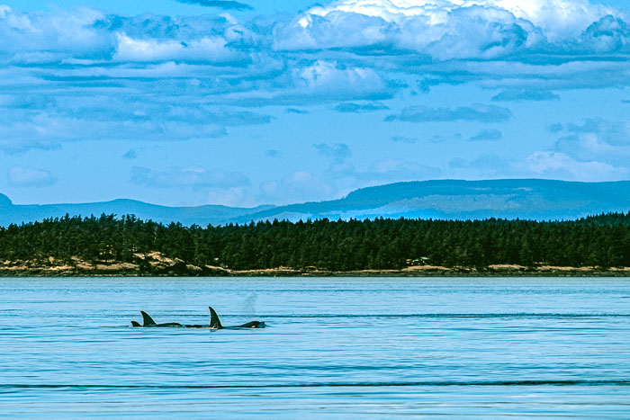 20210724-IMG_5392.jpg 20210724-IMG_5392.jpg