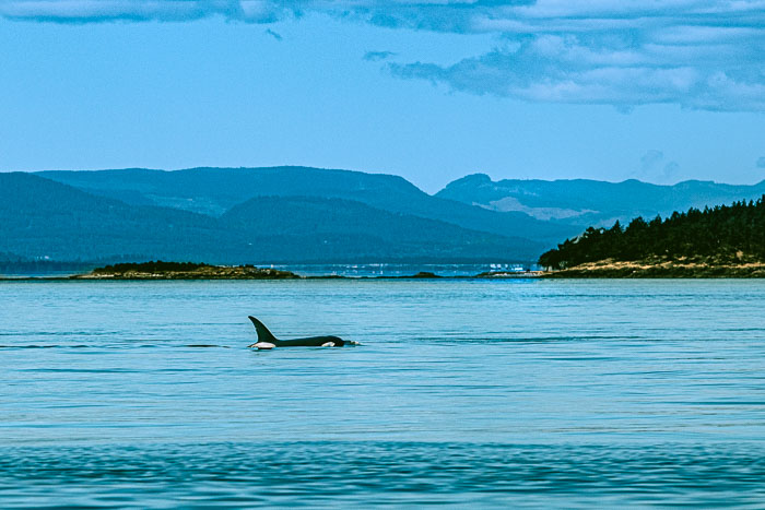 20210724-IMG_5433.jpg 20210724-IMG_5433.jpg