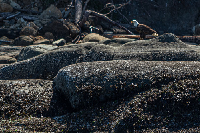 20210724-IMG_6052.jpg 20210724-IMG_6052.jpg