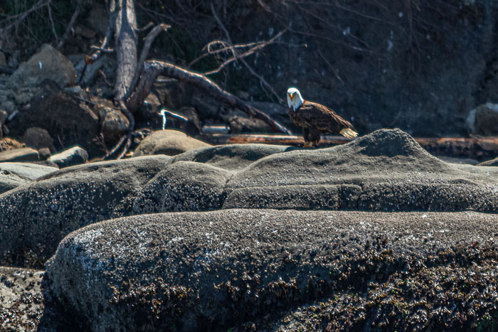 20210724-IMG_6053.jpg 20210724-IMG_6053.jpg