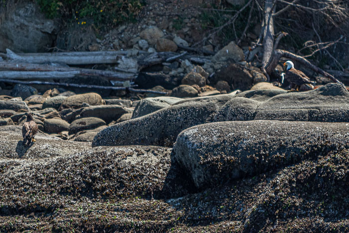 20210724-IMG_6057.jpg 20210724-IMG_6057.jpg