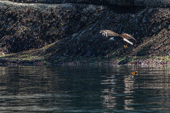 20210724-IMG_6061.jpg 20210724-IMG_6061.jpg