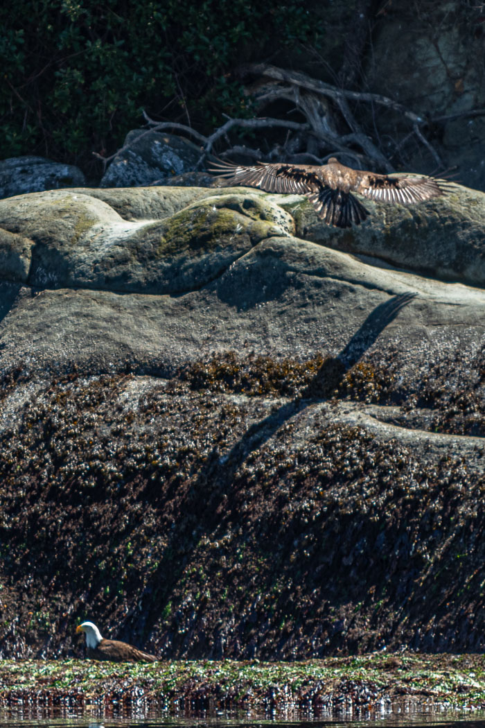 20210724-IMG_6074.jpg 20210724-IMG_6074.jpg