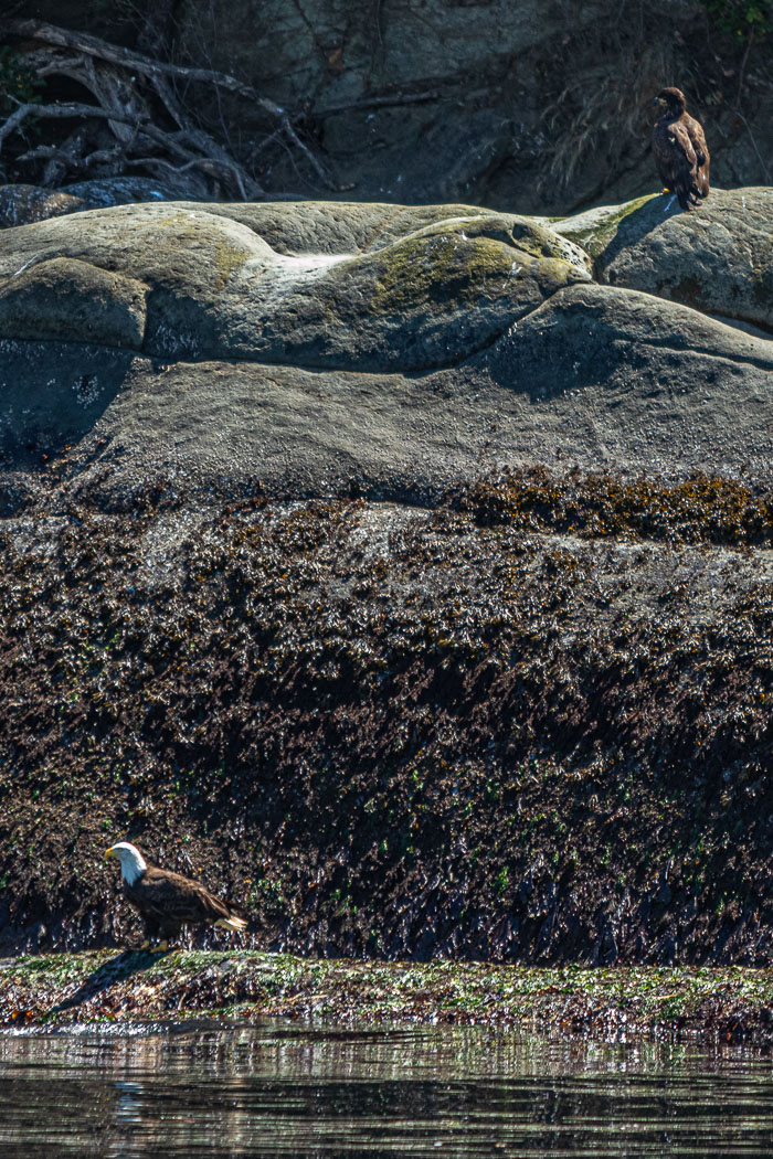 20210724-IMG_6076.jpg 20210724-IMG_6076.jpg