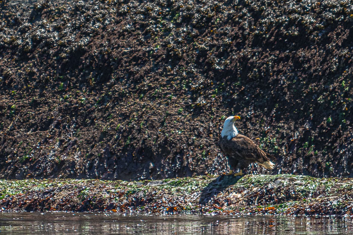 20210724-IMG_6079.jpg 20210724-IMG_6079.jpg