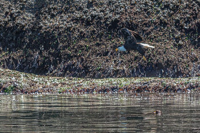 20210724-IMG_6082.jpg 20210724-IMG_6082.jpg