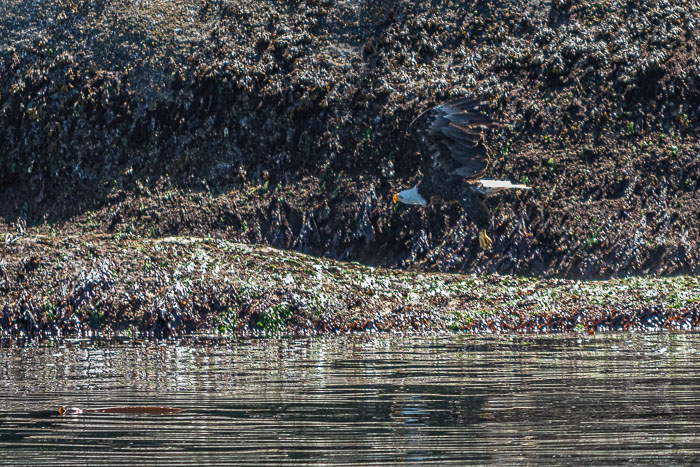 20210724-IMG_6084.jpg 20210724-IMG_6084.jpg