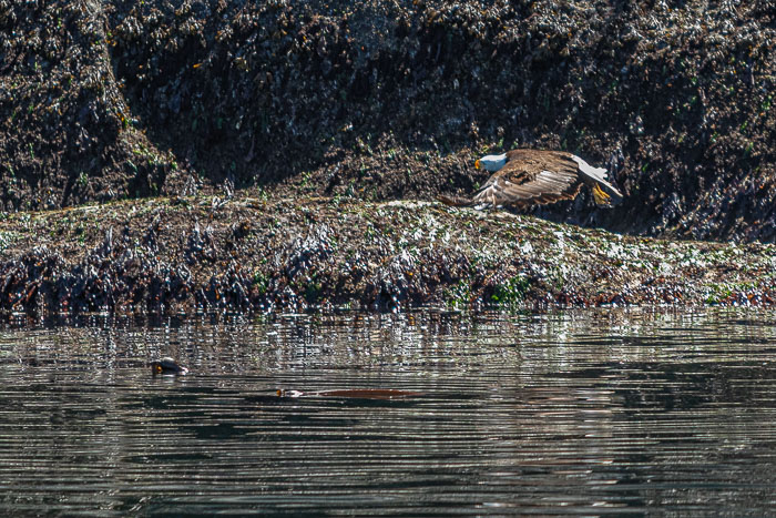 20210724-IMG_6085.jpg 20210724-IMG_6085.jpg