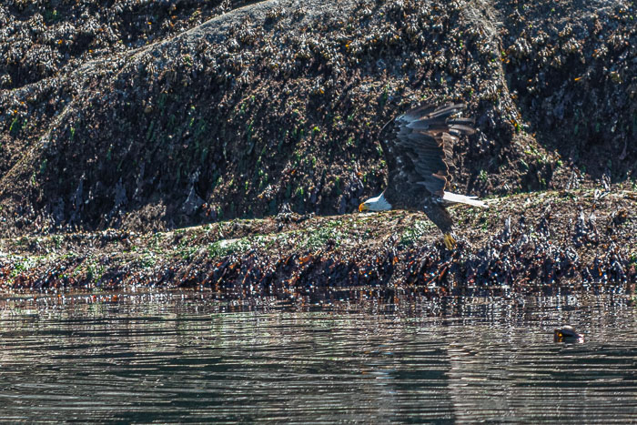 20210724-IMG_6088.jpg 20210724-IMG_6088.jpg