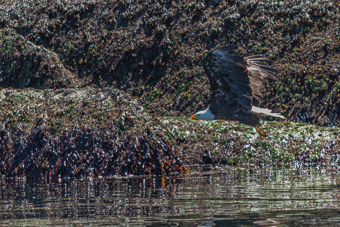 20210724-IMG_6092.jpg 20210724-IMG_6092.jpg