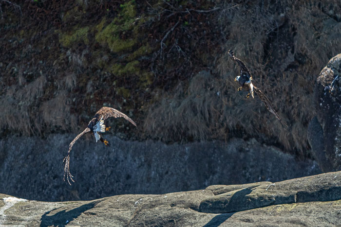 20210724-IMG_6098.jpg 20210724-IMG_6098.jpg