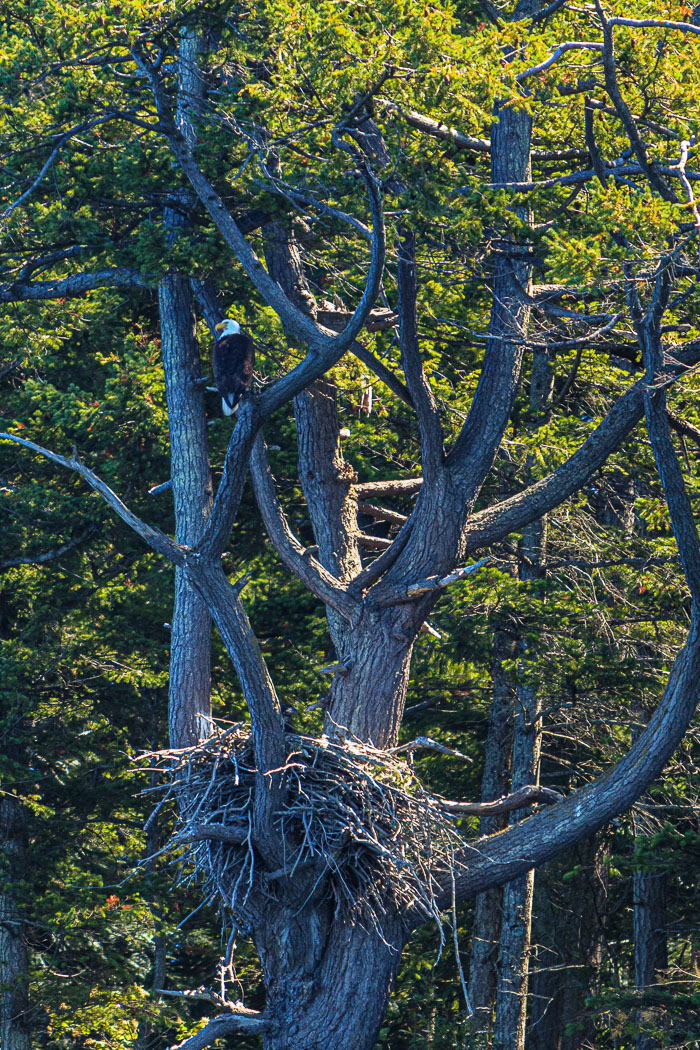 20210724-IMG_6228.jpg 20210724-IMG_6228.jpg