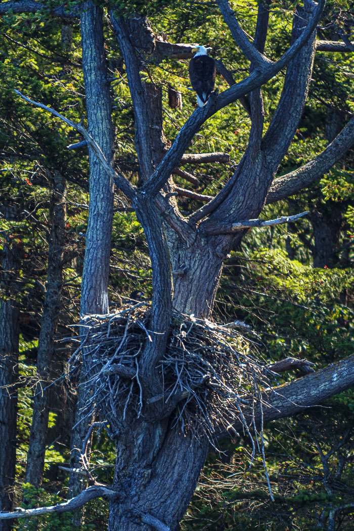 20210724-IMG_6238.jpg 20210724-IMG_6238.jpg