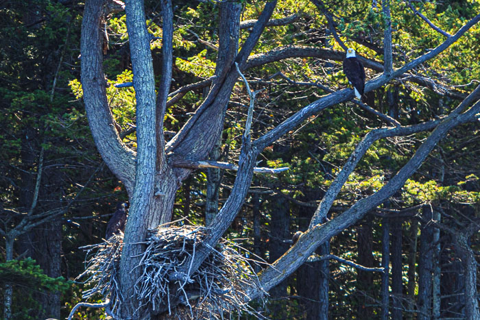 20210724-IMG_6252.jpg 20210724-IMG_6252.jpg