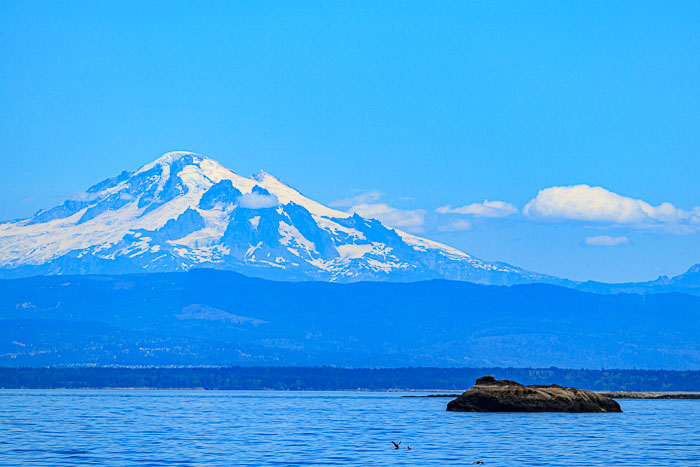 20210724-IMG_6256.jpg 20210724-IMG_6256.jpg