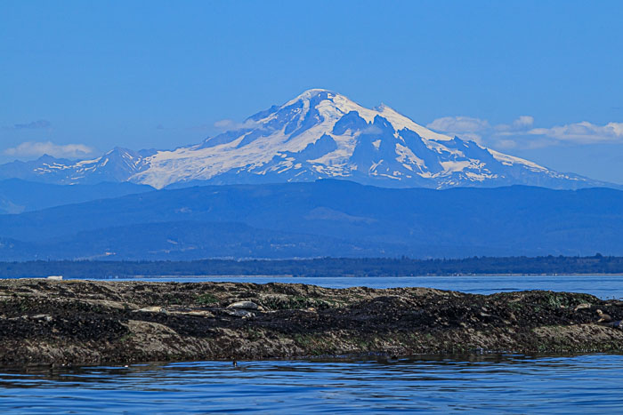 20210724-IMG_6266.jpg 20210724-IMG_6266.jpg