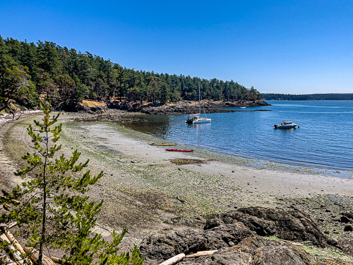 20210725-IMG_1393.jpg 20210725-IMG_1393.jpg