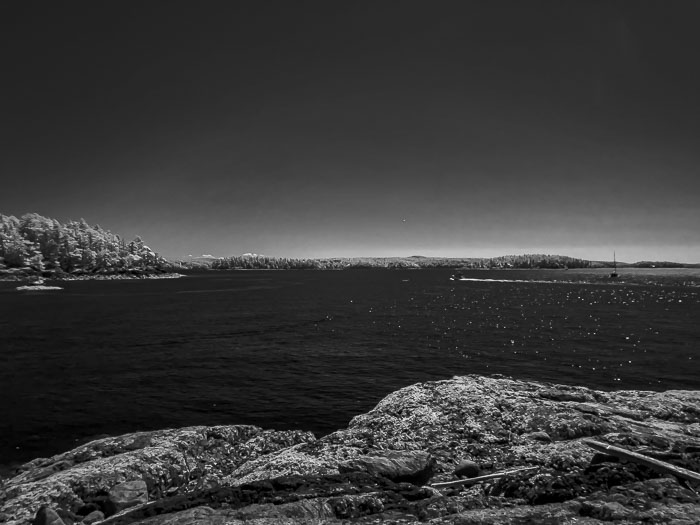 20210725-IMG_1395.jpg 20210725-IMG_1395.jpg