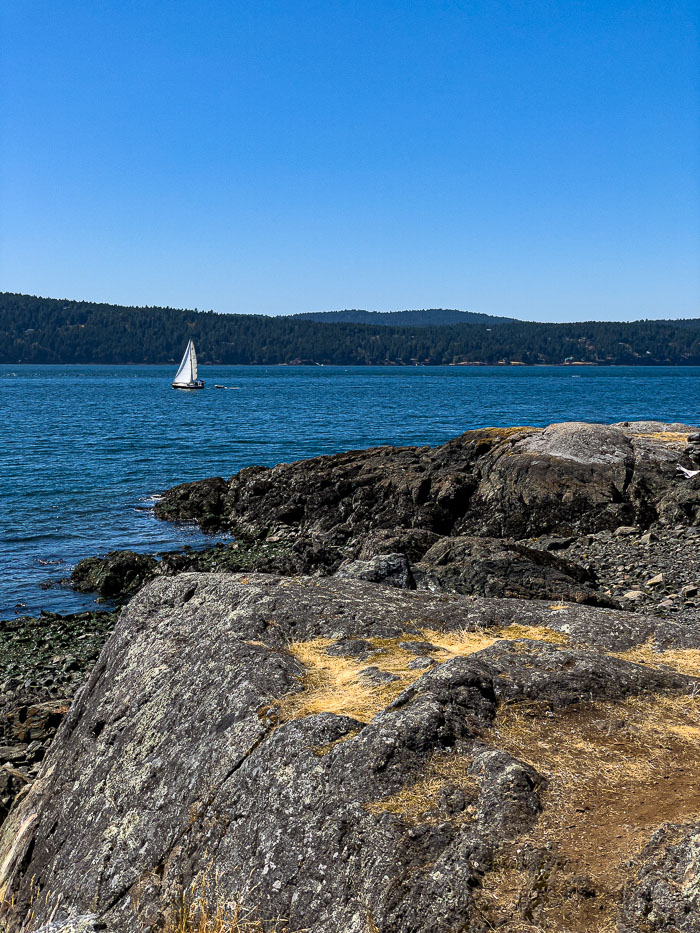 20210725-IMG_1402.jpg 20210725-IMG_1402.jpg