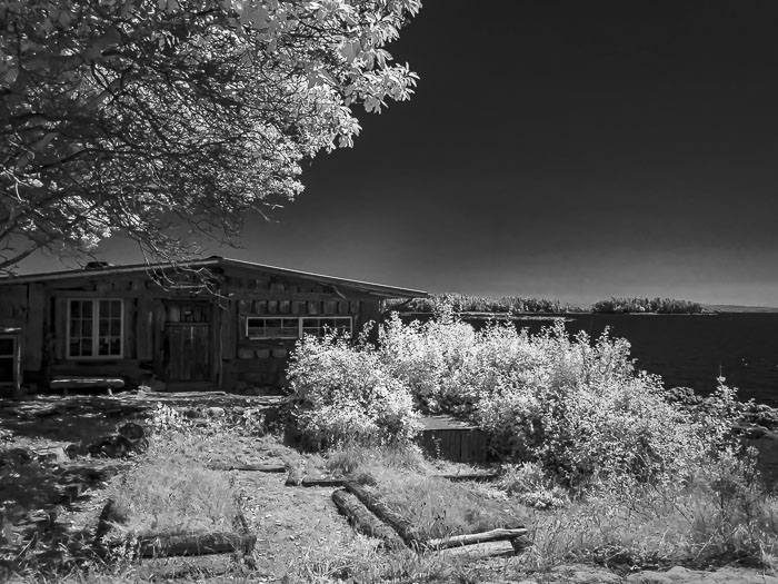 20210725-IMG_1409.jpg 20210725-IMG_1409.jpg