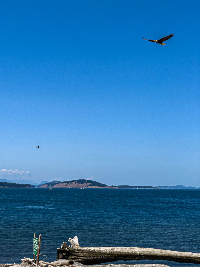 20210725-IMG_1420.jpg 20210725-IMG_1420.jpg