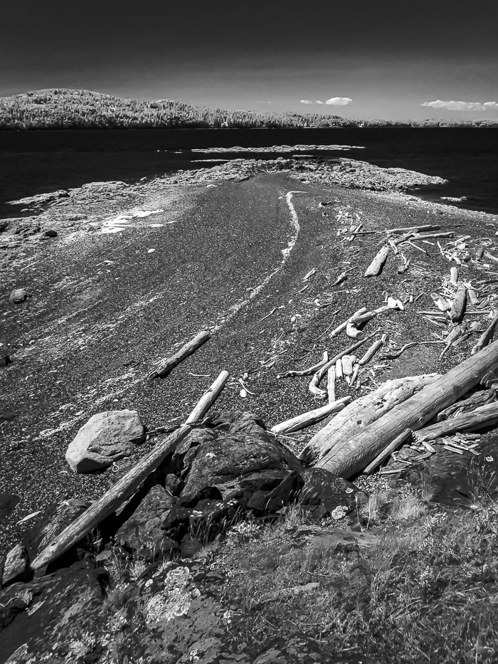 20210725-IMG_1430.jpg 20210725-IMG_1430.jpg