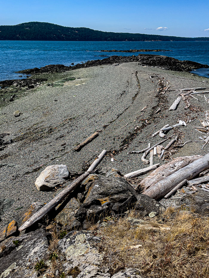 20210725-IMG_1431.jpg 20210725-IMG_1431.jpg