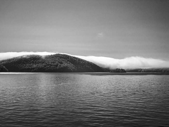 20210726-IMG_1489.jpg 20210726-IMG_1489.jpg