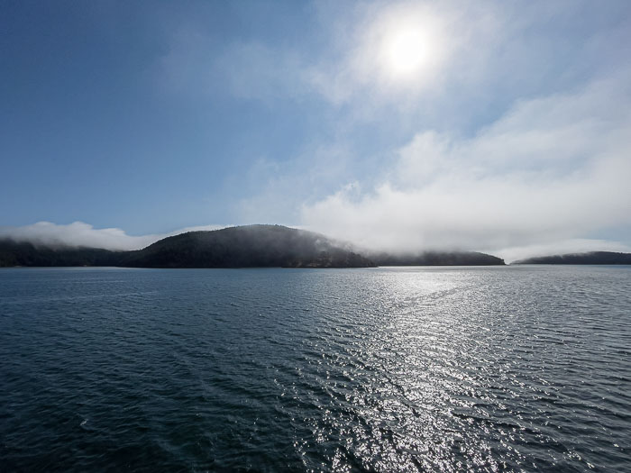 20210726-IMG_1503.jpg 20210726-IMG_1503.jpg