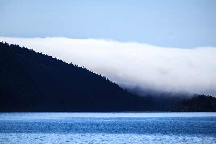 20210726-IMG_6474.jpg 20210726-IMG_6474.jpg