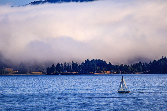 20210726-IMG_6495.jpg 20210726-IMG_6495.jpg