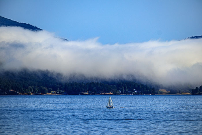 20210726-IMG_6501.jpg 20210726-IMG_6501.jpg