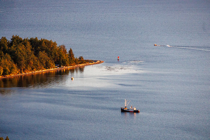 20230810-IMG_0673.jpg 20230810-IMG_0673.jpg