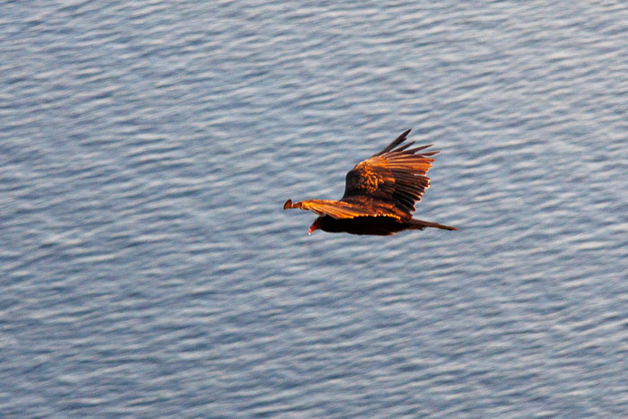 20230810-IMG_0680.jpg 20230810-IMG_0680.jpg